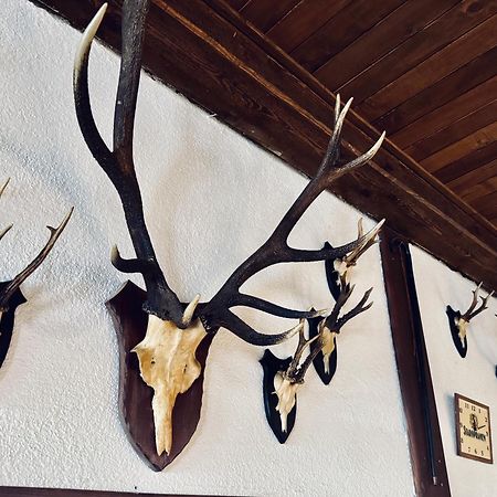 Hotel Myslivna Harrachov Exteriér fotografie