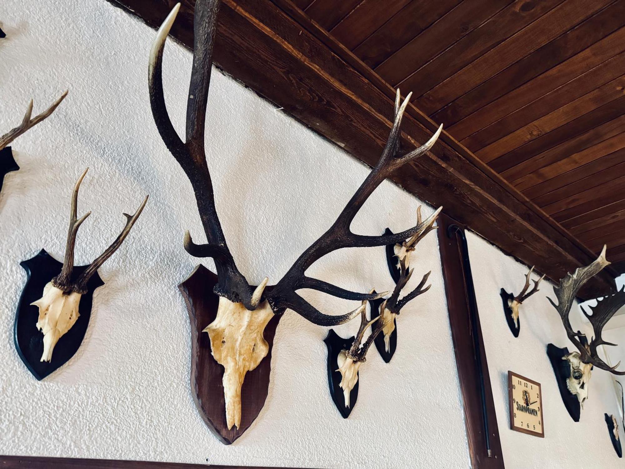 Hotel Myslivna Harrachov Exteriér fotografie