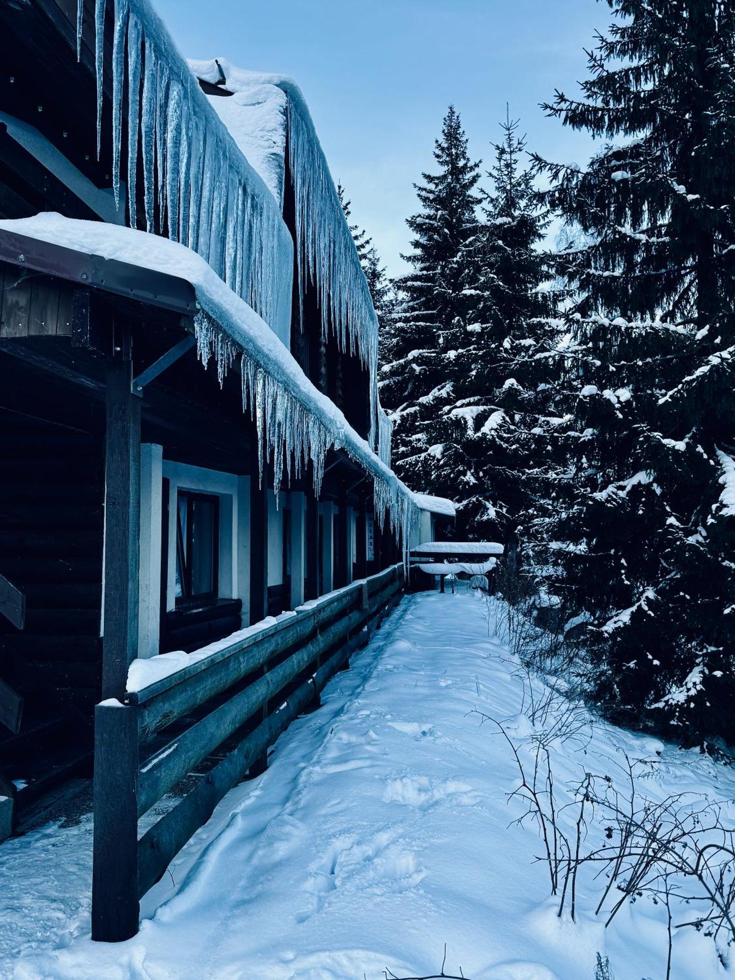 Hotel Myslivna Harrachov Exteriér fotografie
